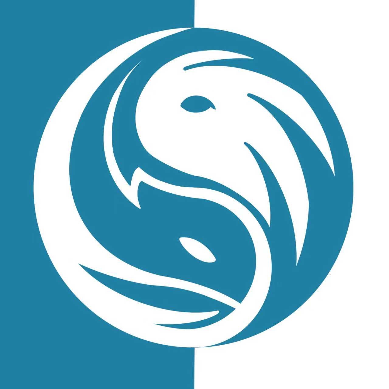 成都青南科技有限公司 logo