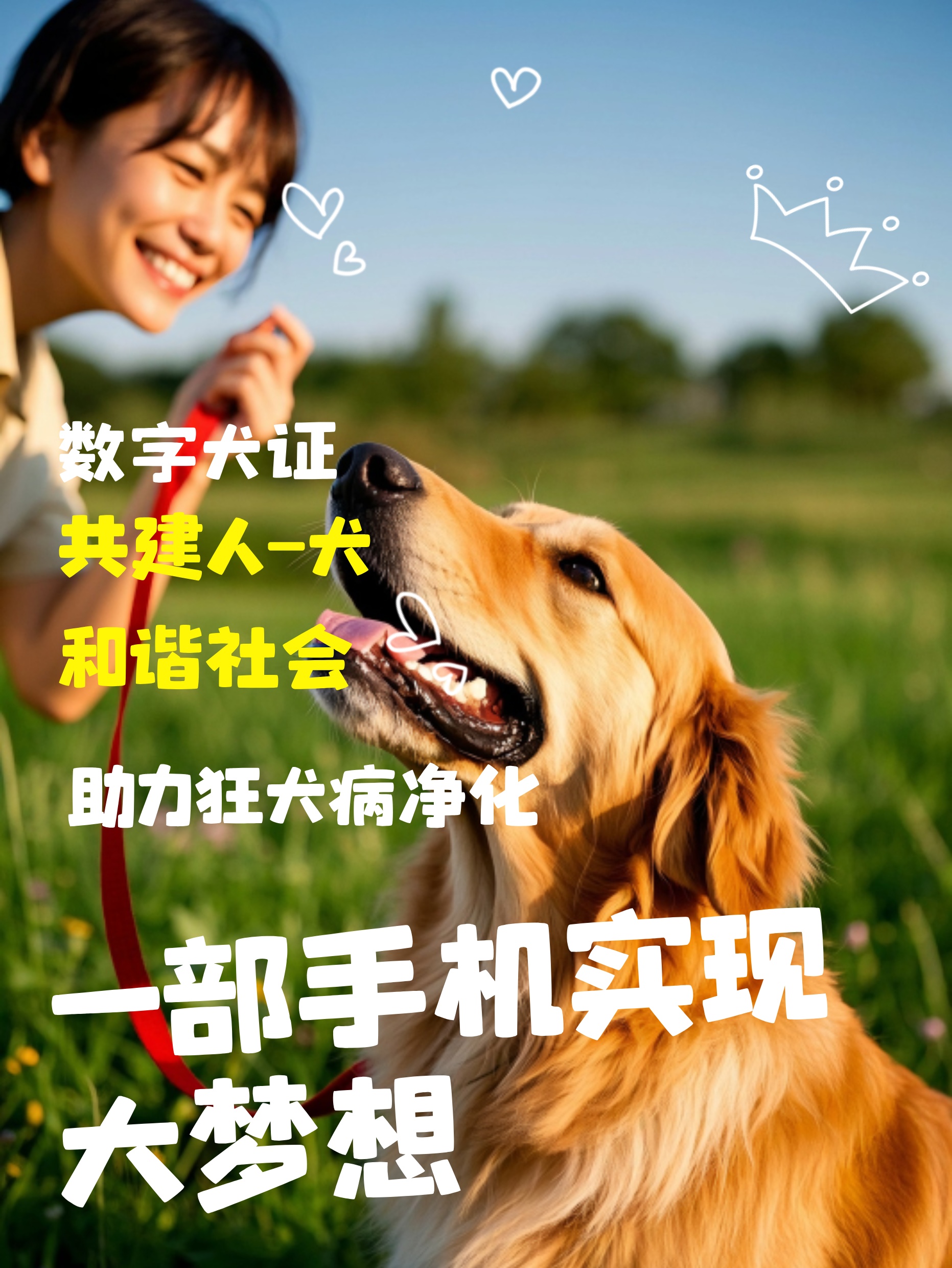 成就卡片