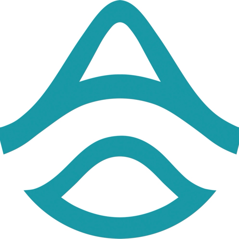 光合泰智（杭州）科技有限公司 logo